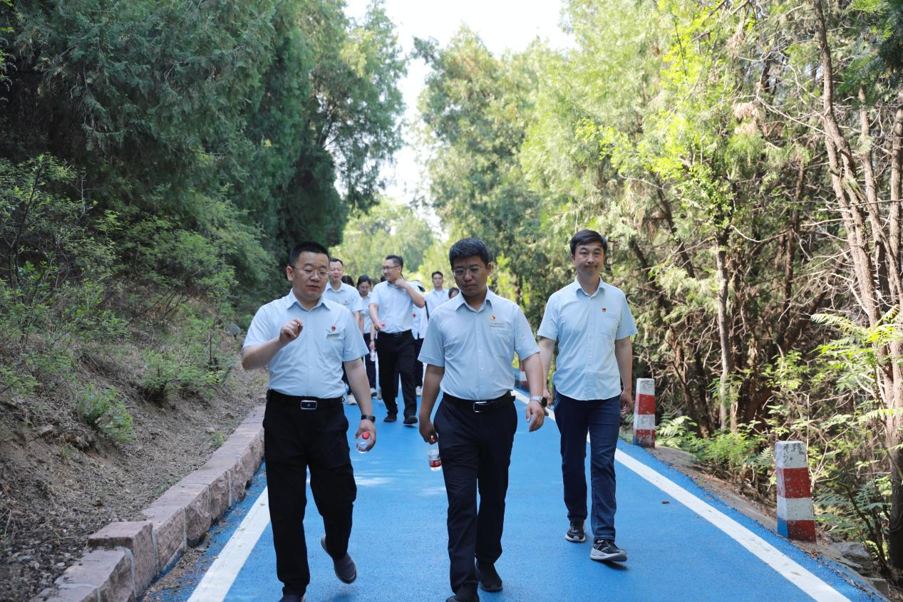 PT��Ѷ|һ������