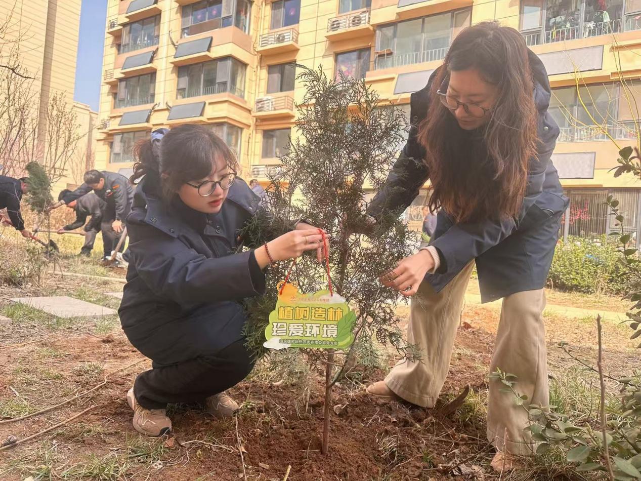 PT��Ѷ|һ������